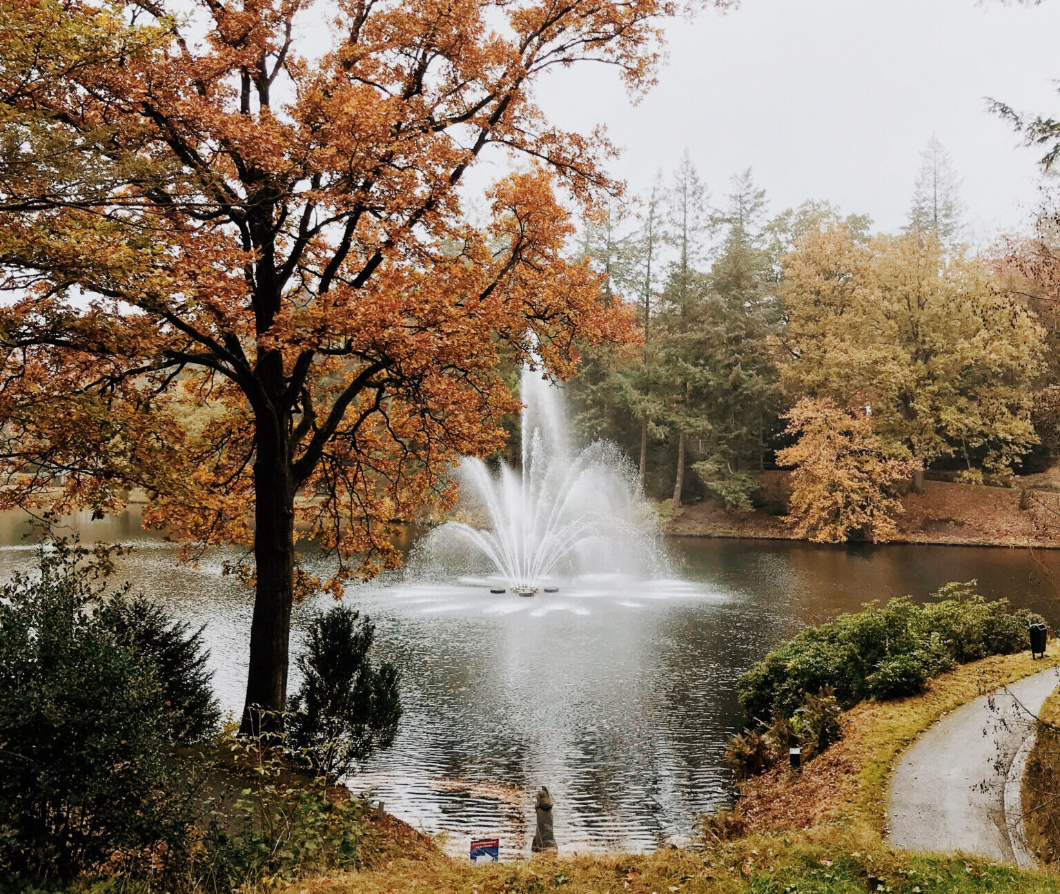 Processed with VSCO with m5 preset